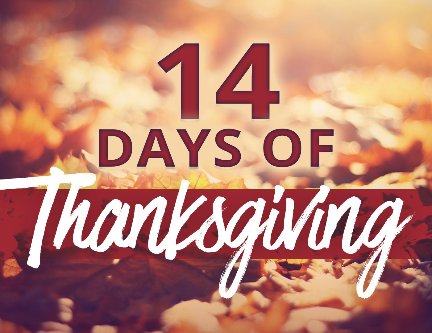 14 Days of Thanksgiving (Audio) episode artwork