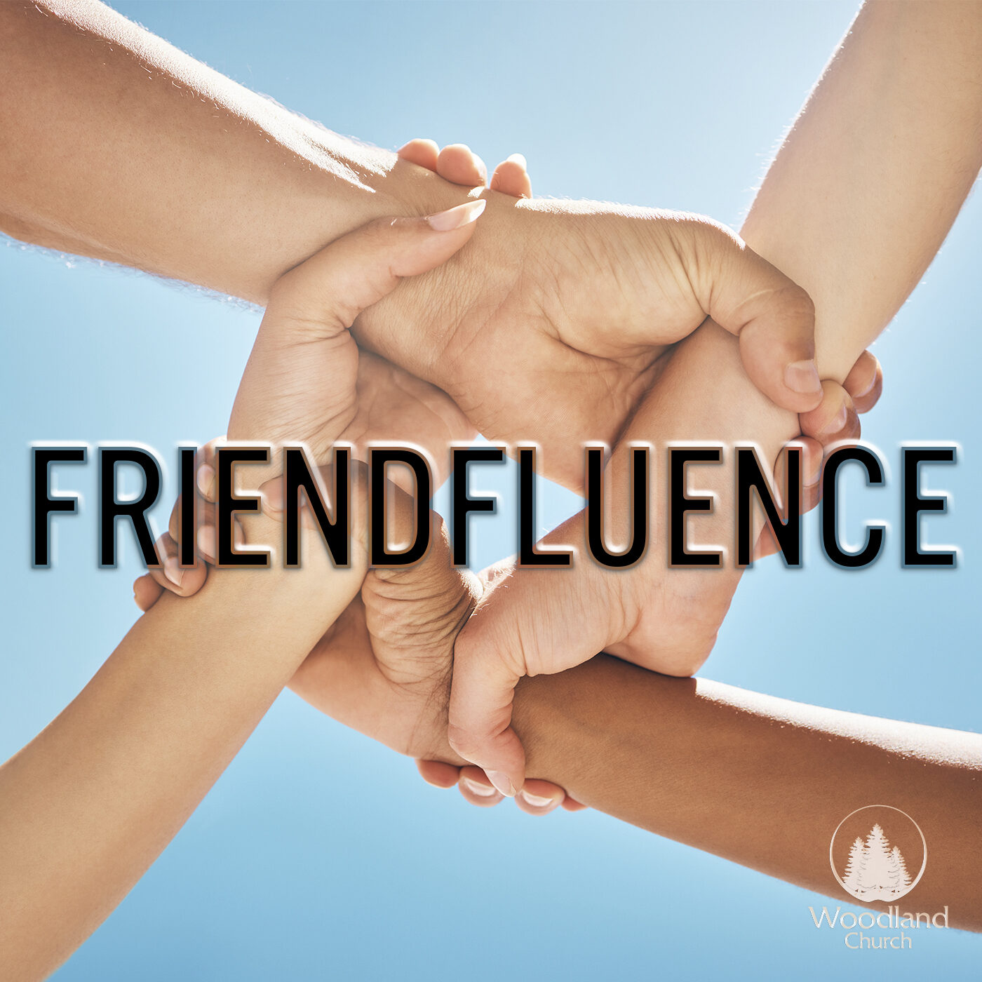 FRIENDFLUENCE episode artwork
