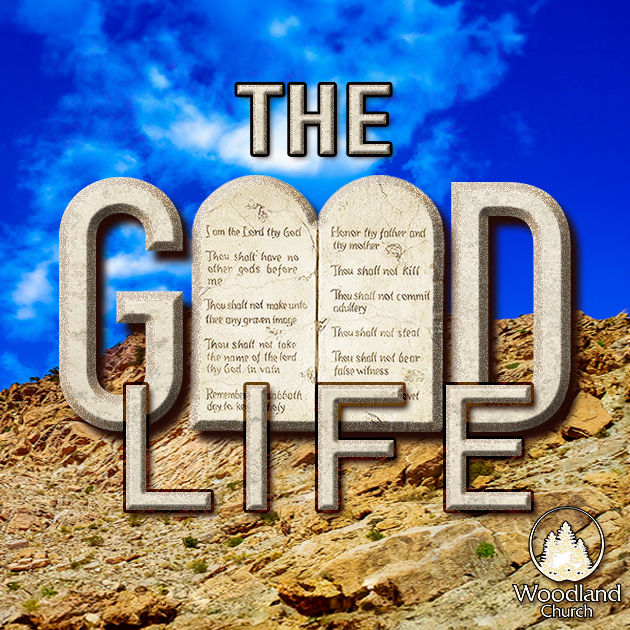 DEVOTED FOR LIFE episode artwork