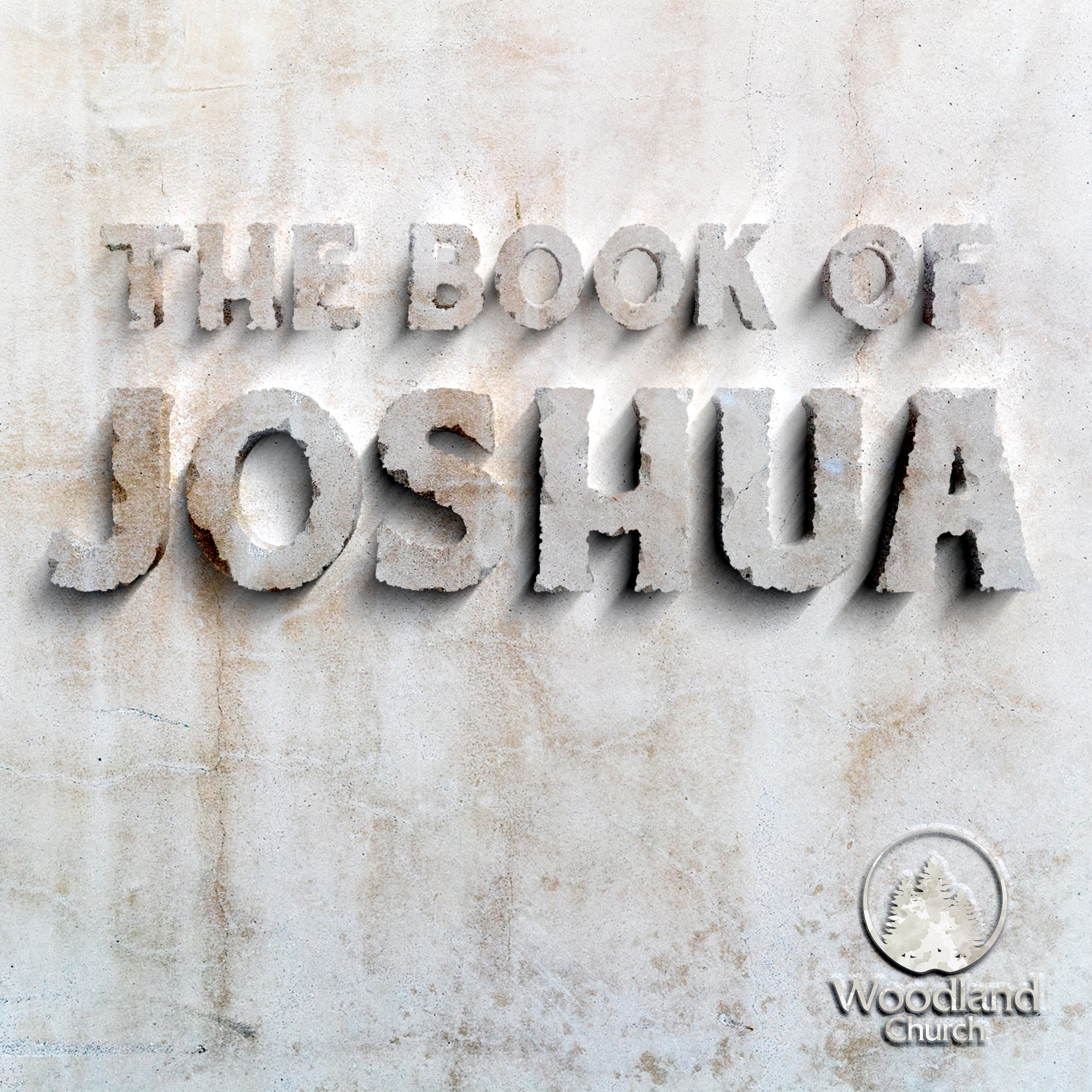 SEEING JESUS IN JOSHUA