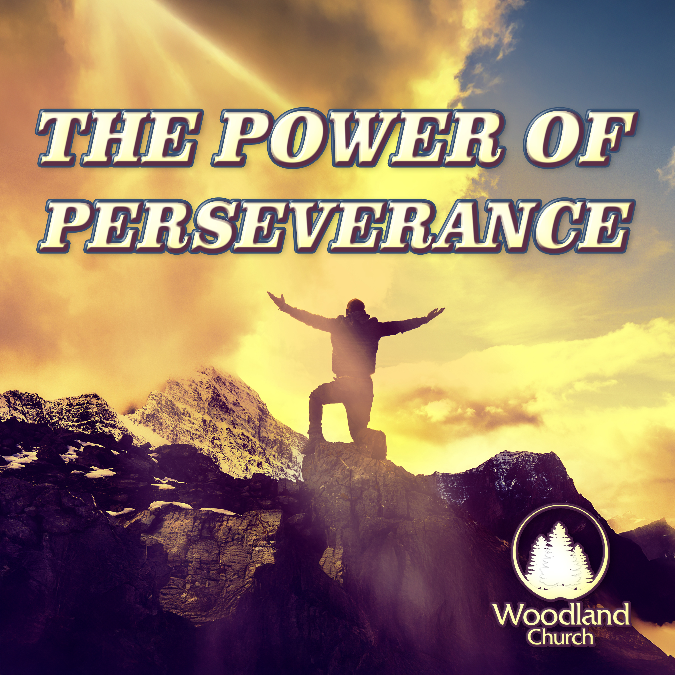THE POWER OF PERSEVERANCE episode artwork