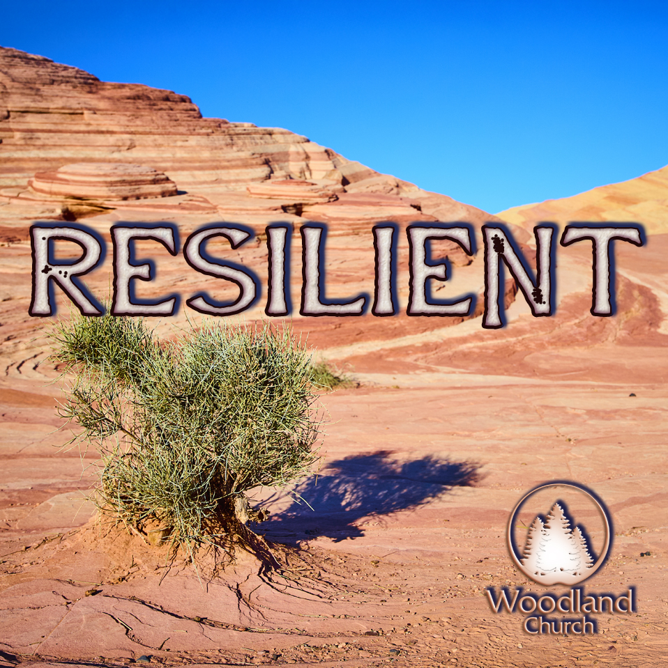 RESILIENT episode artwork