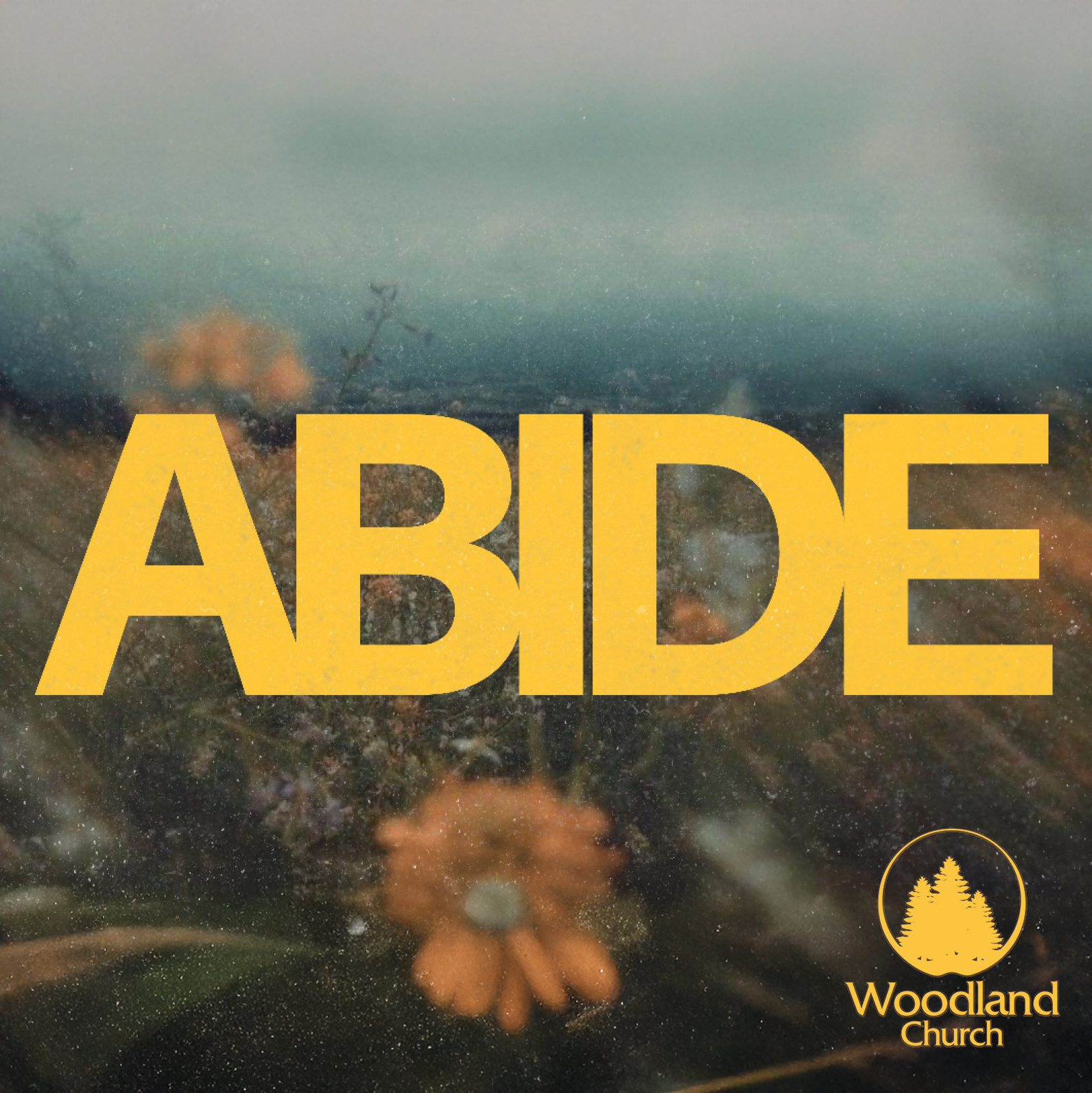 ABIDE episode artwork