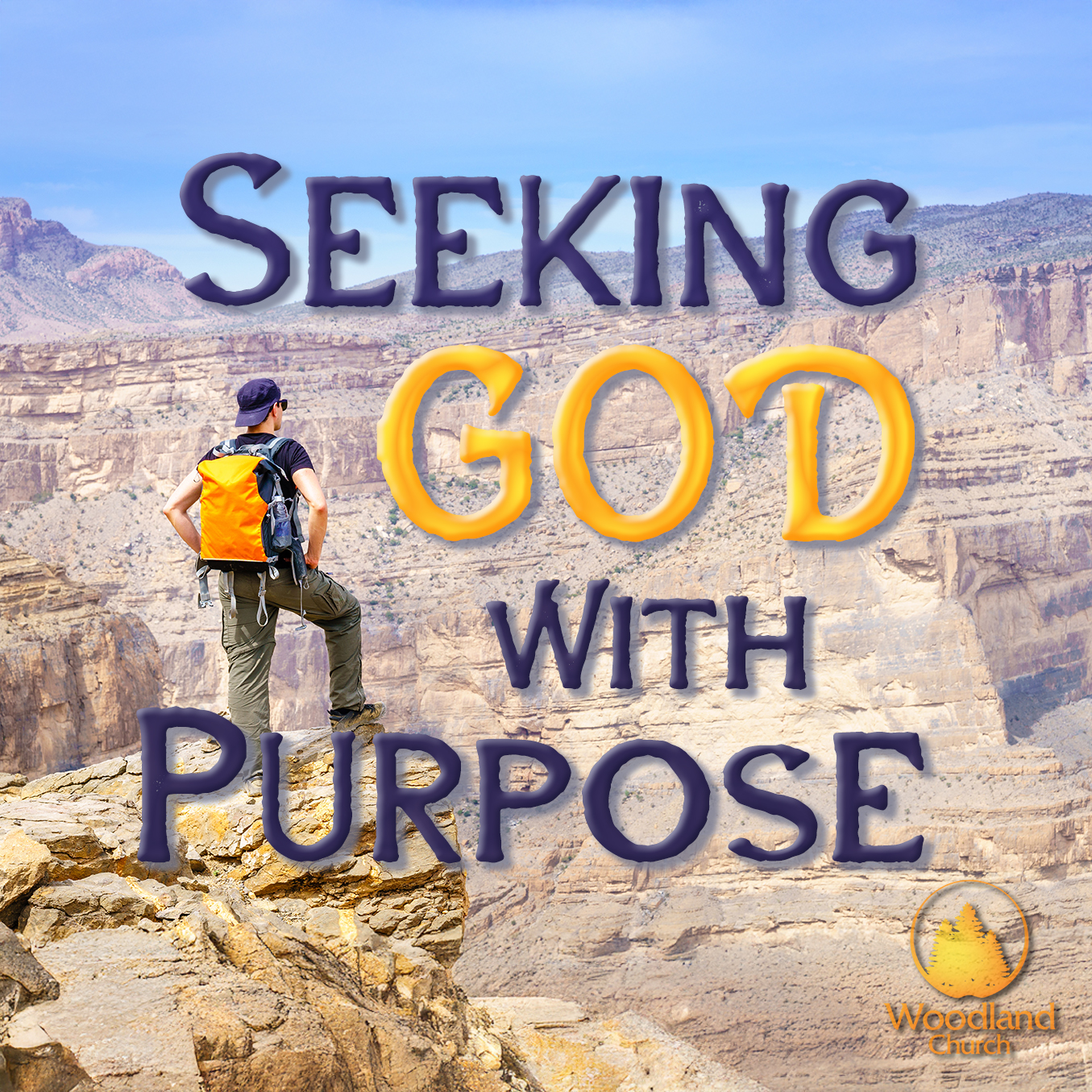 SEEKING GOD WITH PURPOSE episode artwork