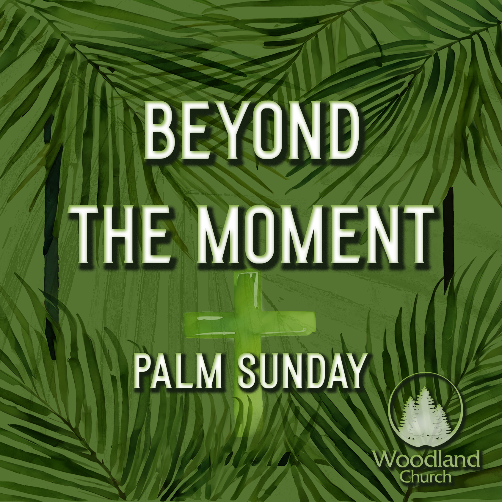 BEYOND THE MOMENT episode artwork