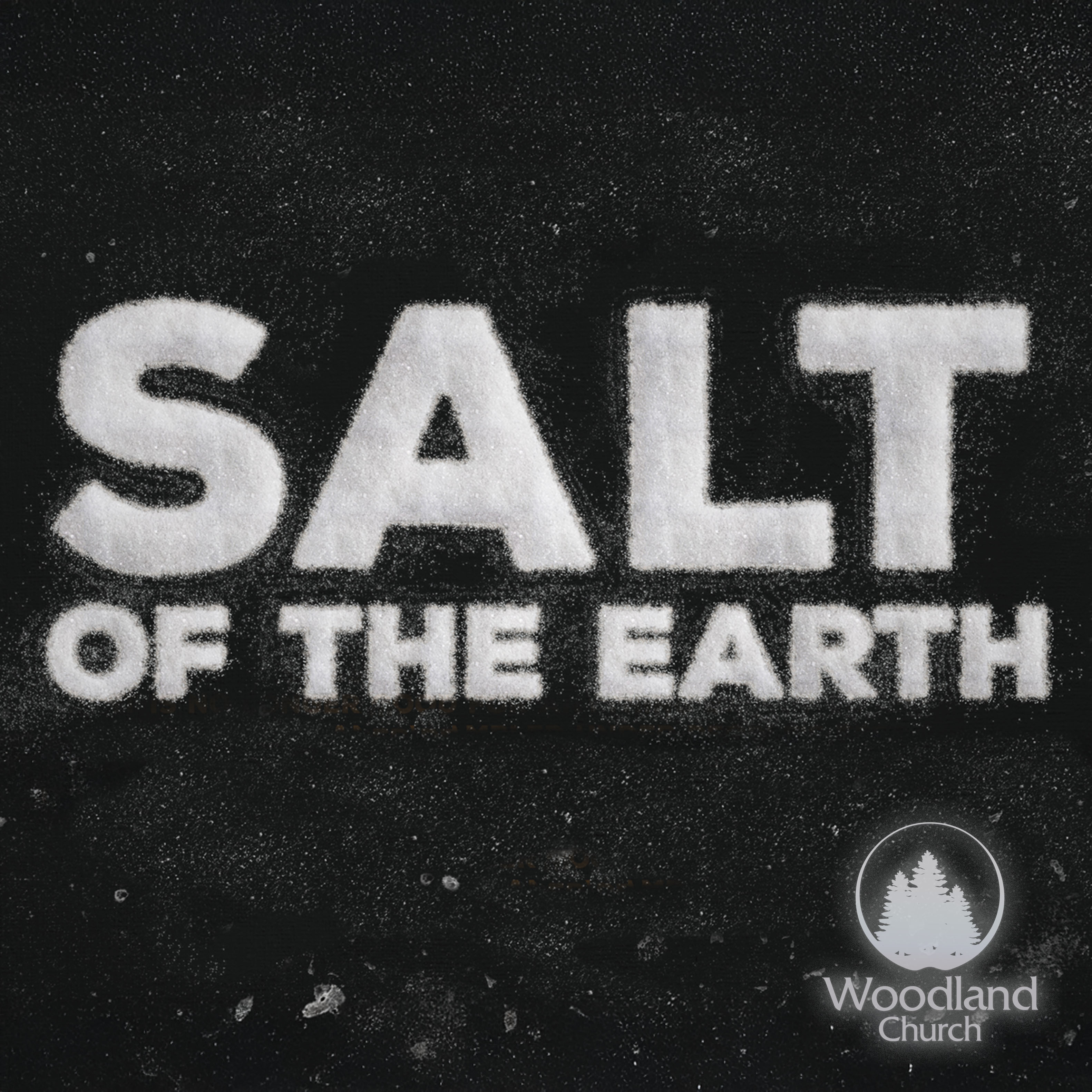 SALT OF THE EARTH episode artwork