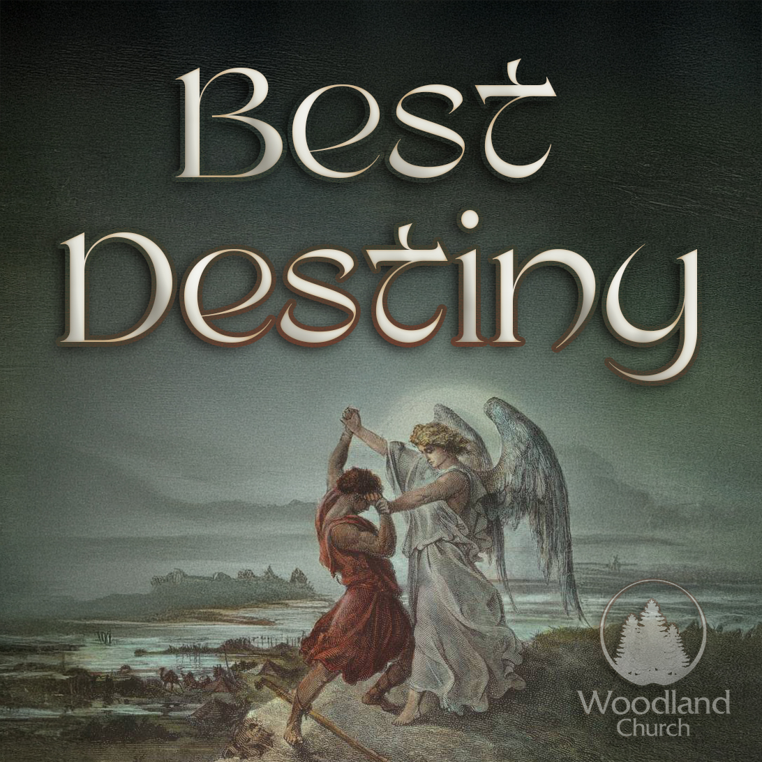 BEST DESTINY episode artwork