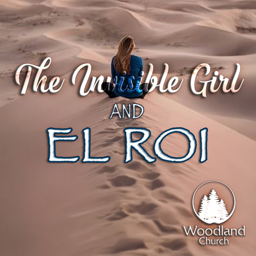 THE INVISIBLE GIRL AND EL ROI episode artwork