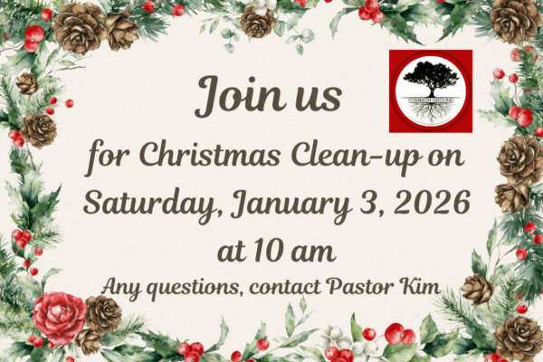 Christmas Clean-Up – Saturday January 3 2026 at 10 AM