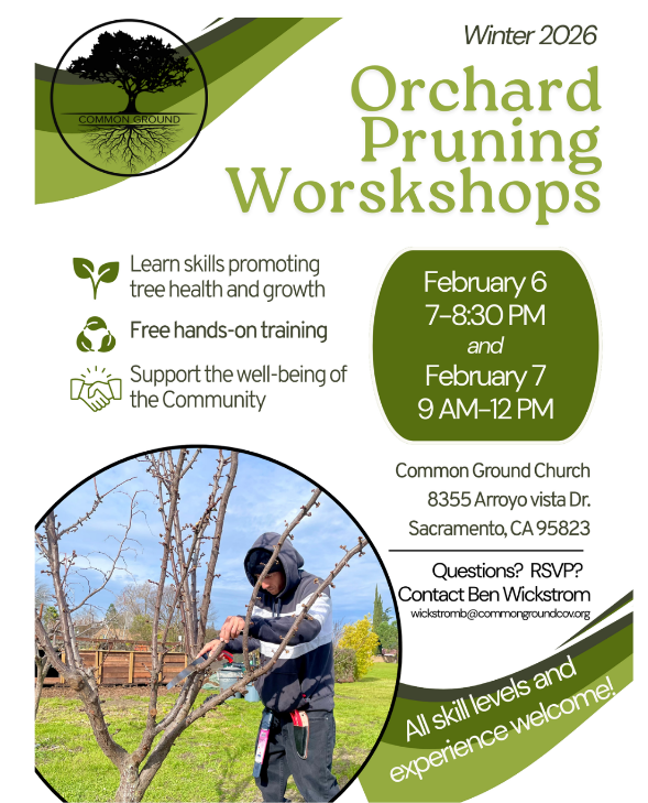 Orchard pruning workshops February 6 and 7 at Common Ground Church
