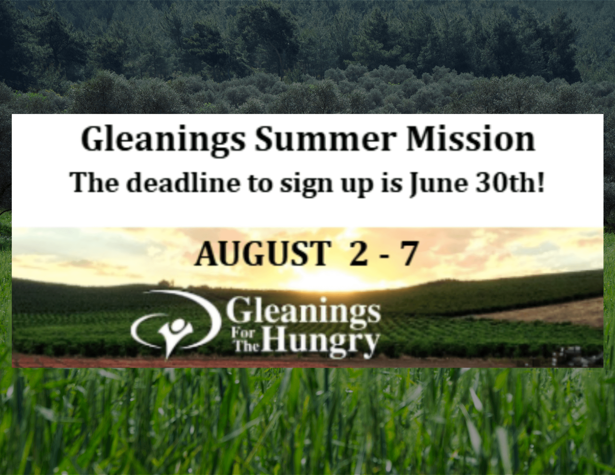 Gleanings Summer Mission, August 2 through 7, 2026, Dinuba California, process excess peaches, feed needy people, sign up by June 30