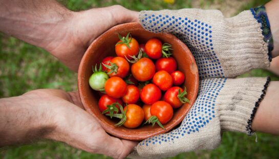 Community Garden Project