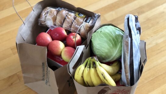 Meals-on-Wheels Grocery Delivery Program