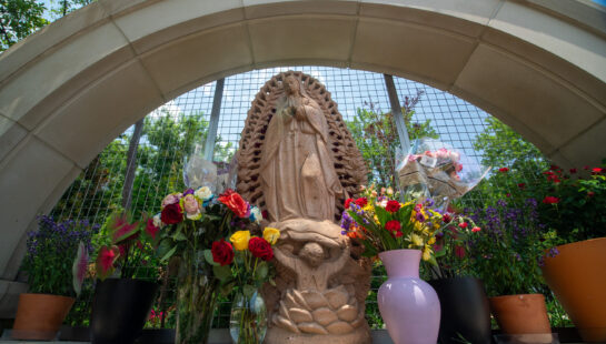 Guadalupanos
