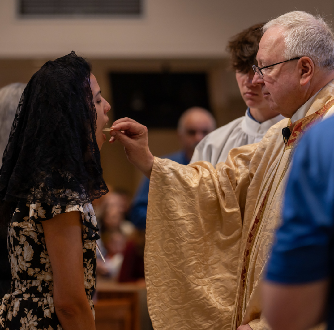 I desire to become Catholic