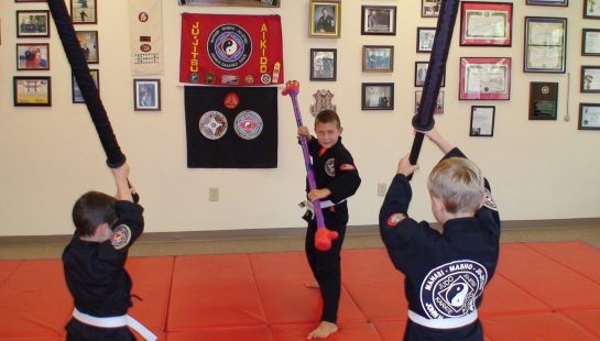 Ninja Weapons Combat Training, Padded Weapons