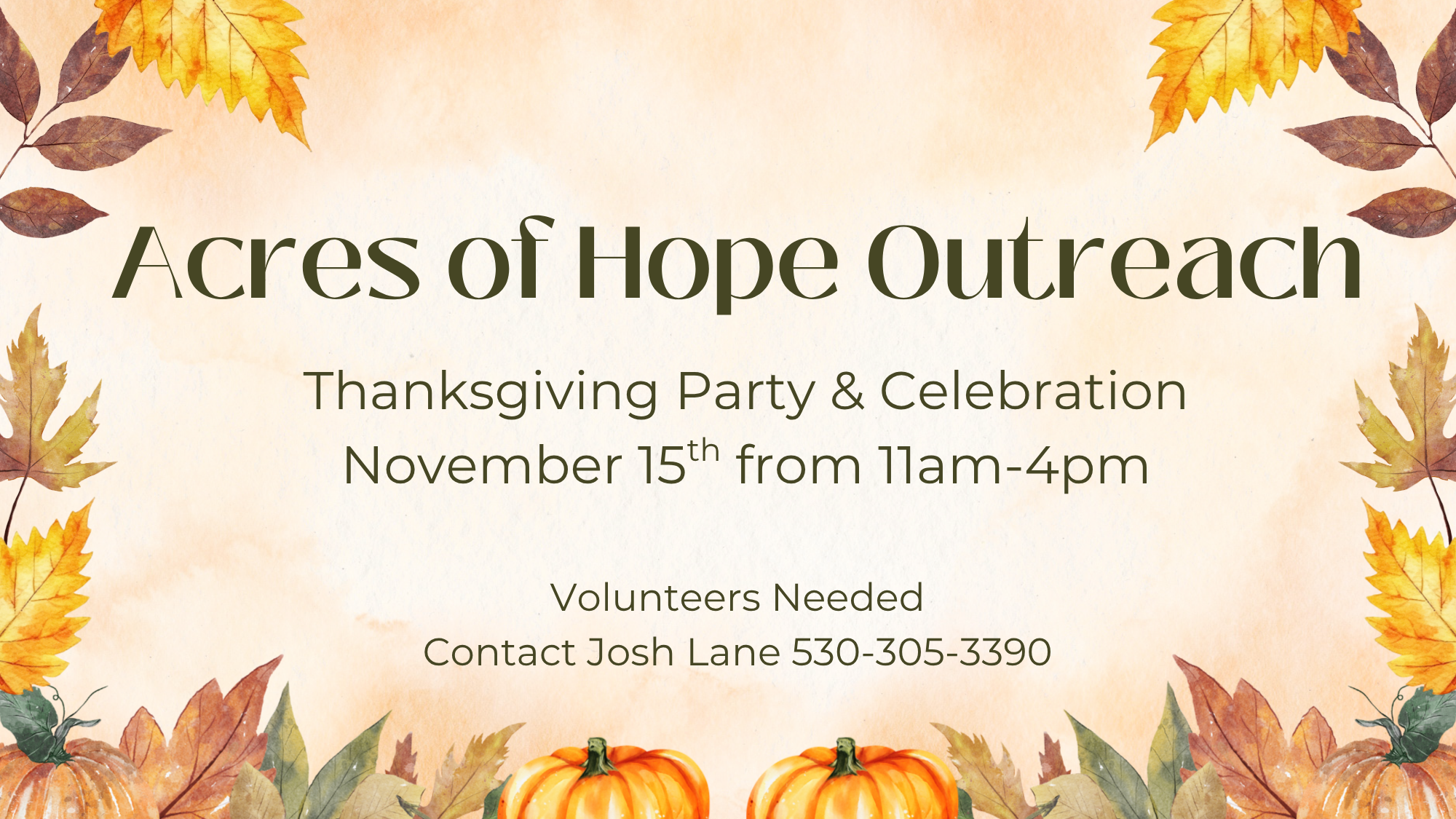 Volunteers Needed 11/15 from 11am-4pm
