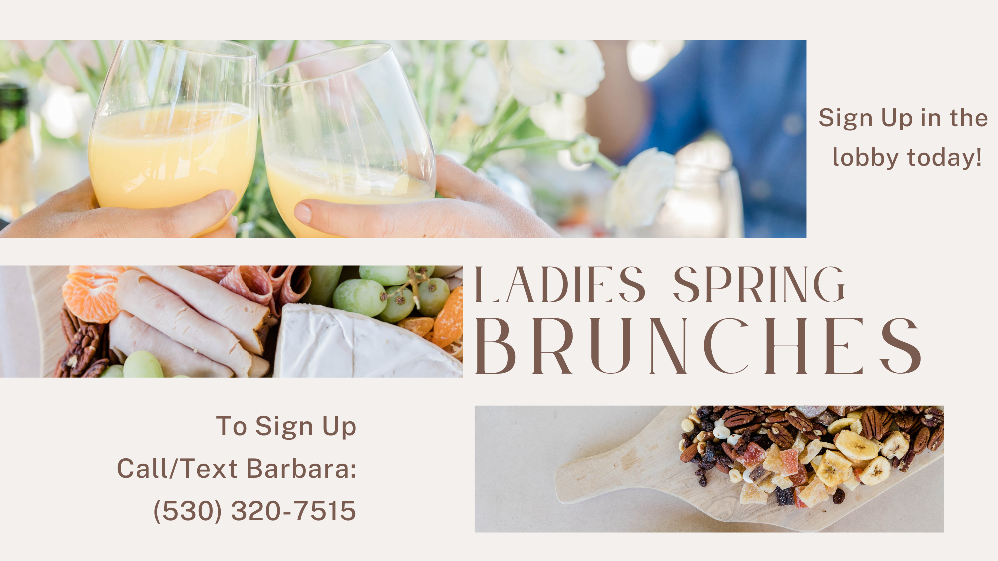 Ladies Spring Brunches Coming Soon!
