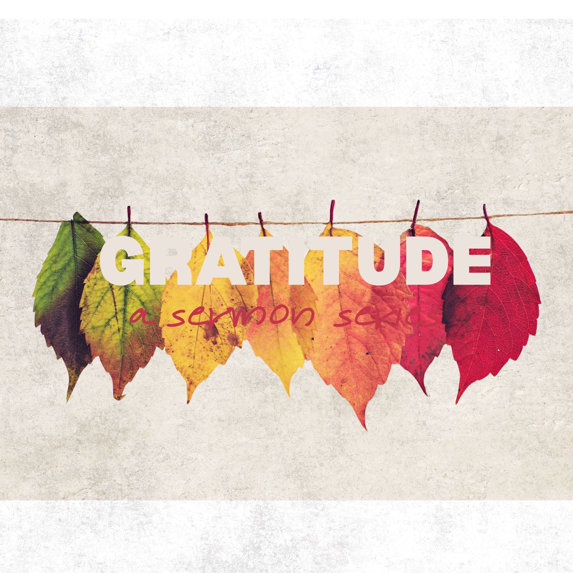 “The Source of Gratitude” – Psalm 103 episode artwork