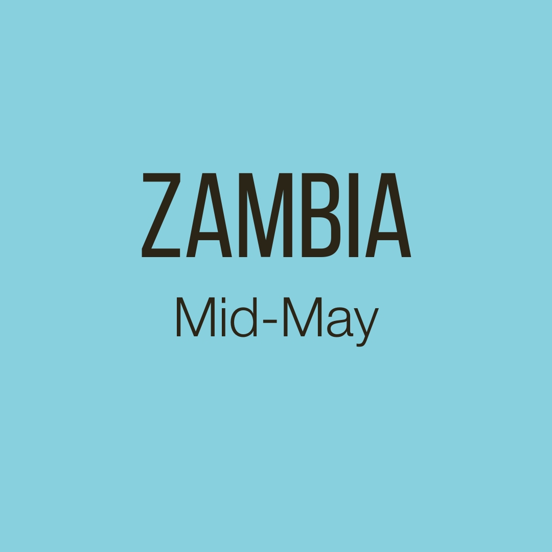 Zambia 1