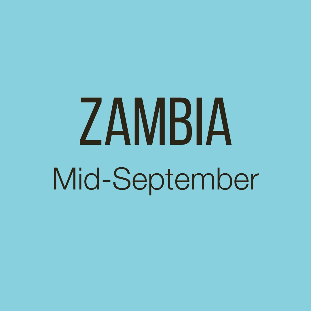 Zambia 3