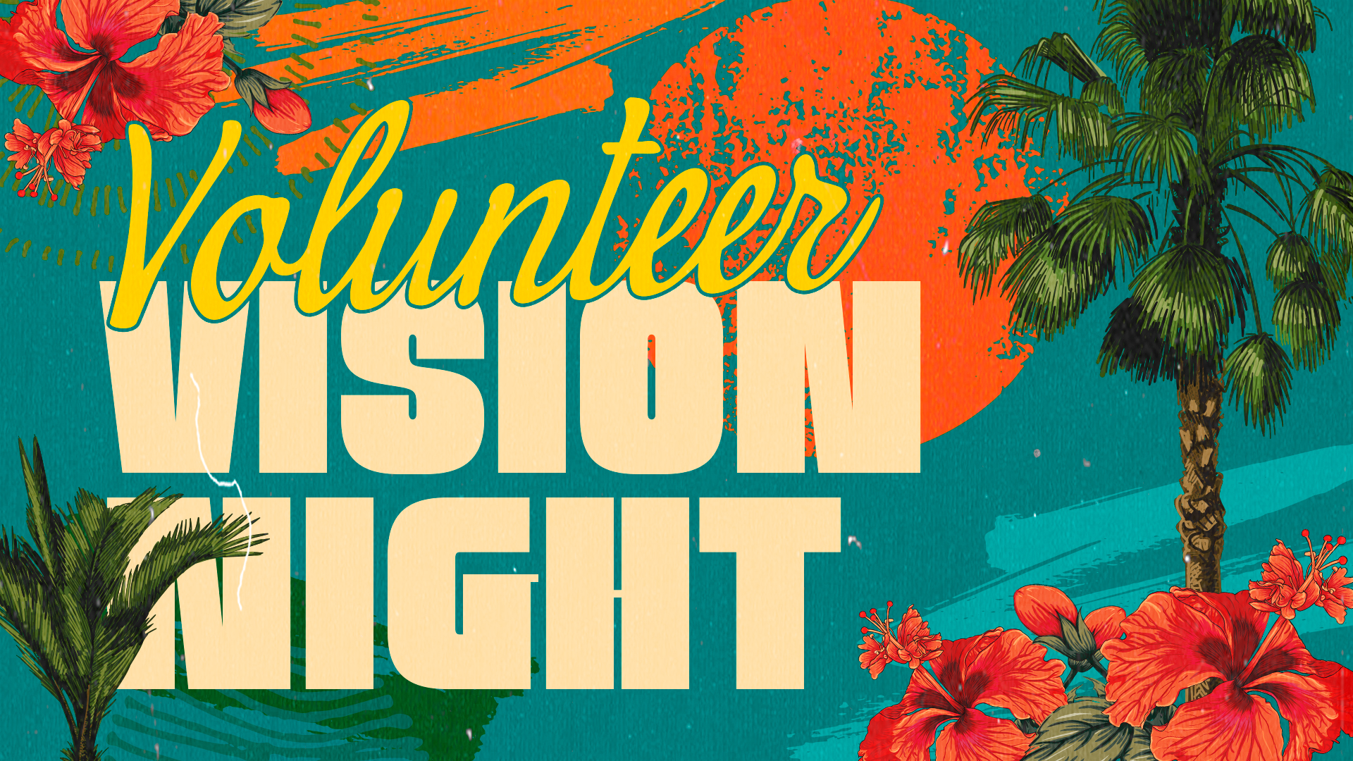 Volunteer Vision Night