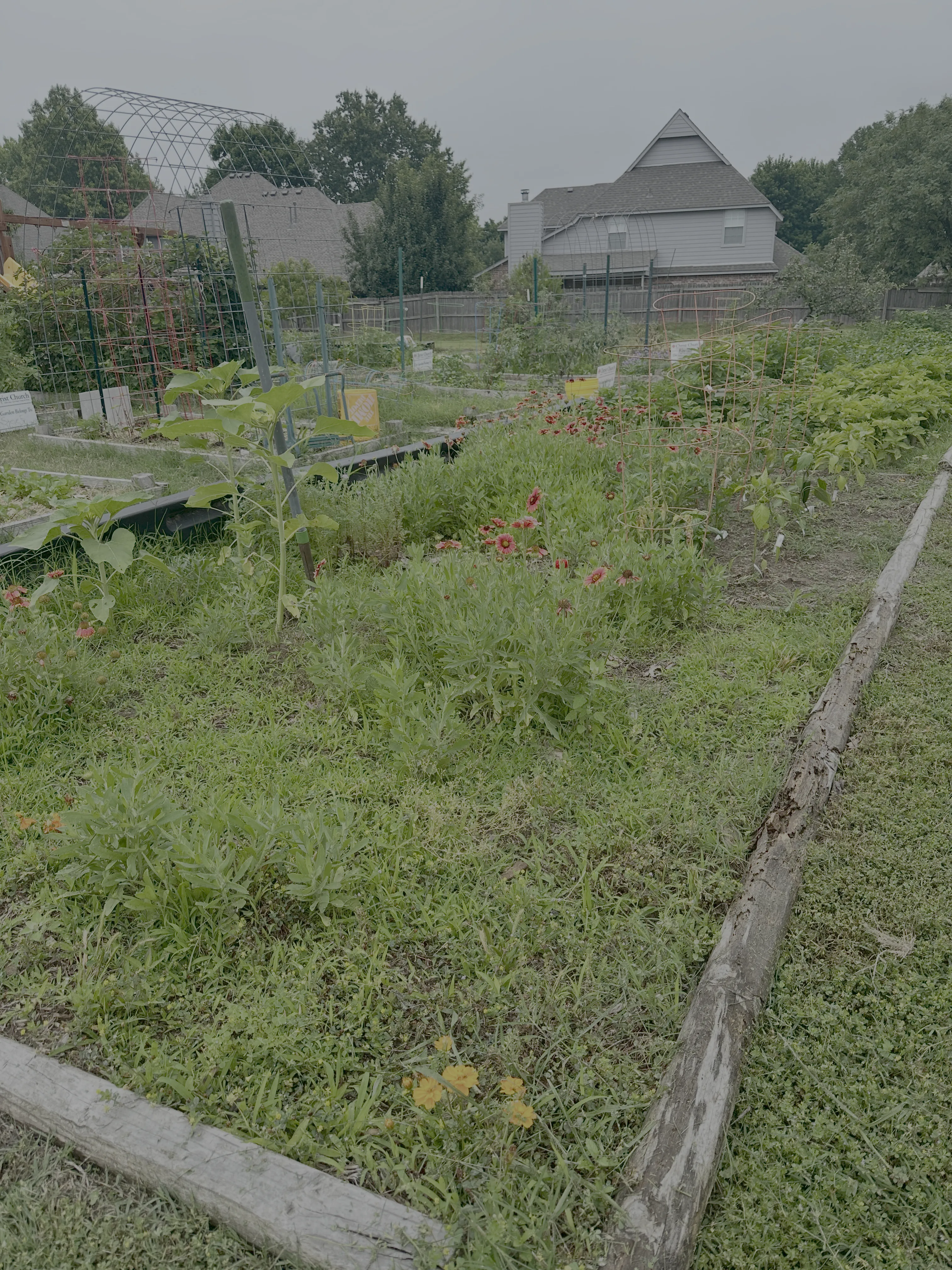 Community Garden