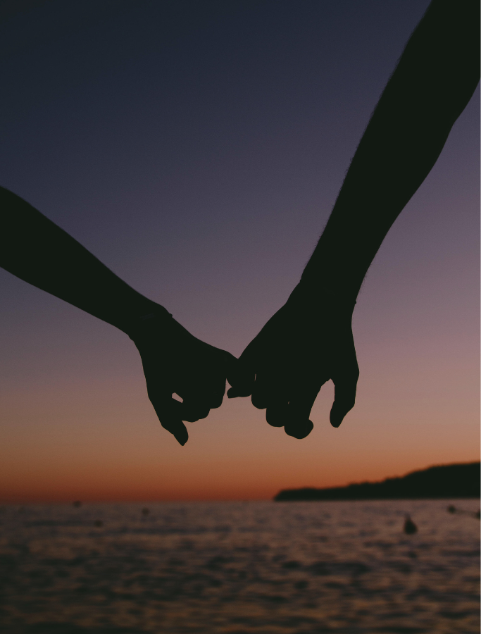 Devoted Premarital Course