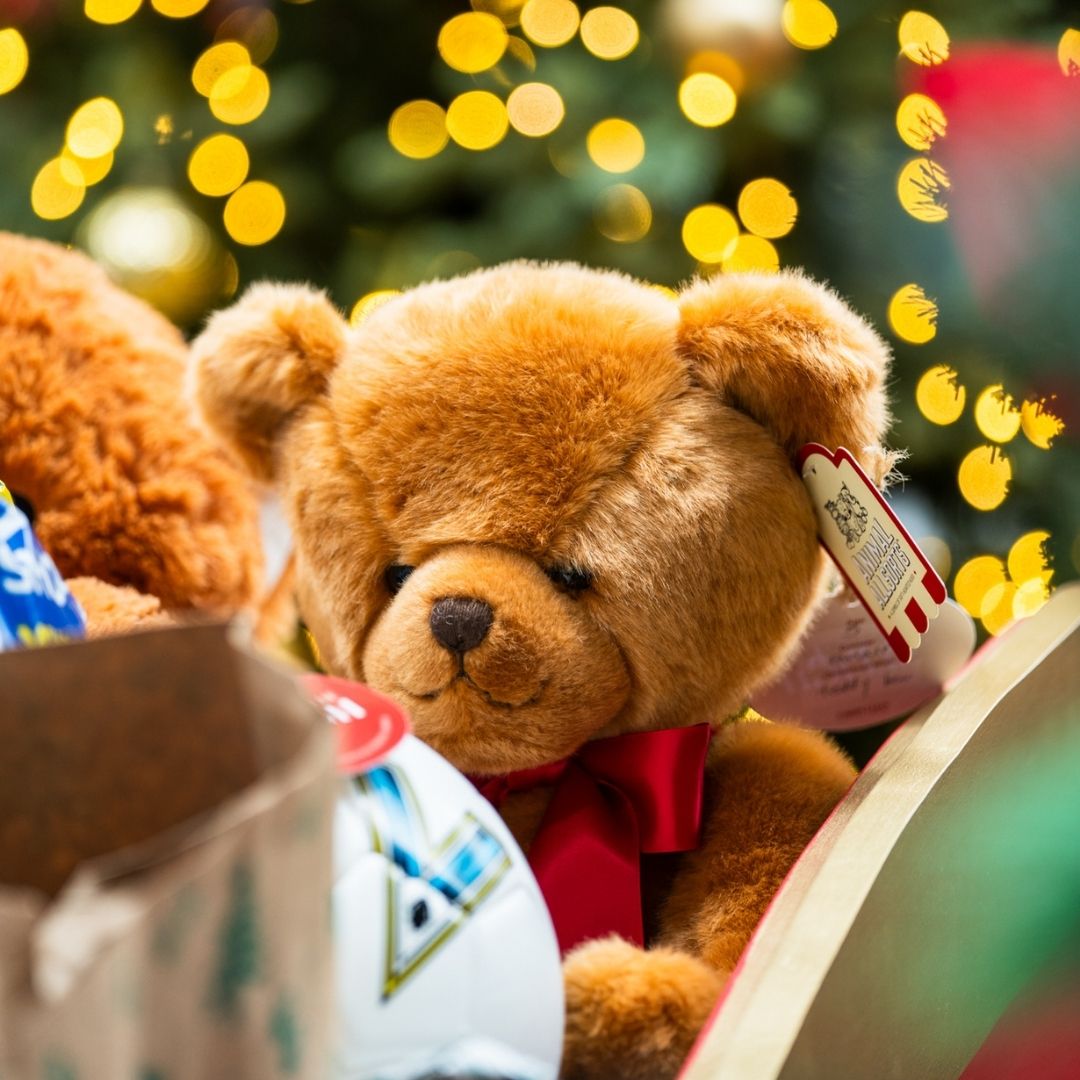 Home For Christmas Series