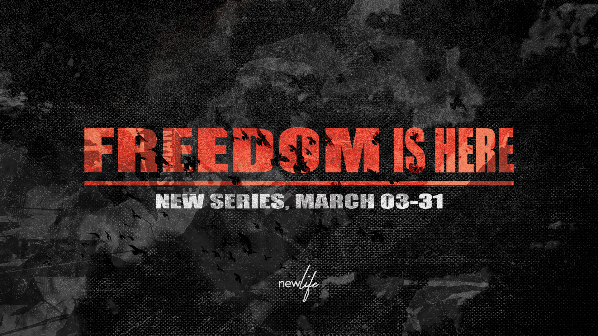 Series Freedom Is Here Newlife Freedom is here / shout unto god lyrics of freedom is here: series freedom is here newlife