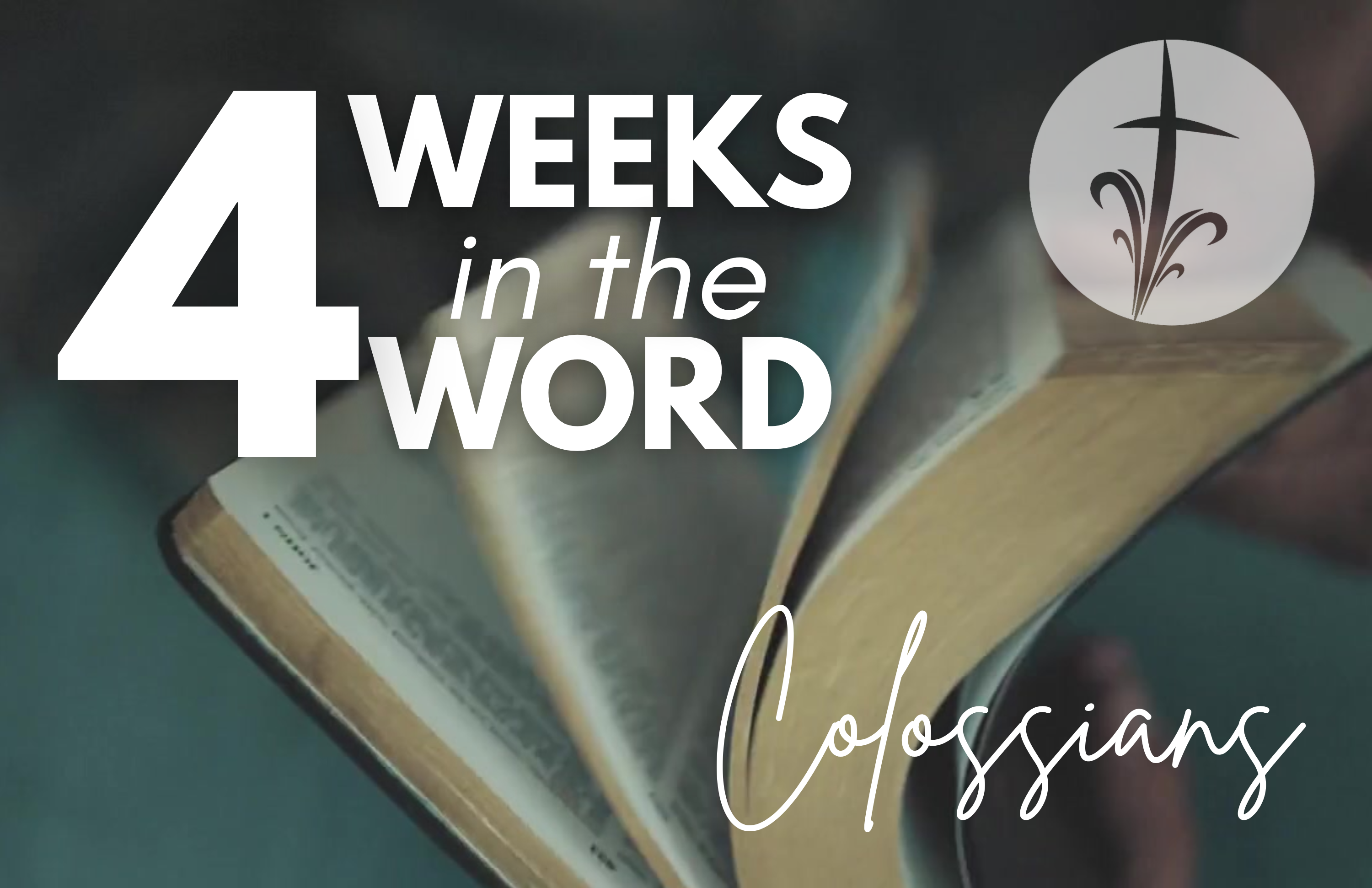 Bible Focus: The Book of Colossians