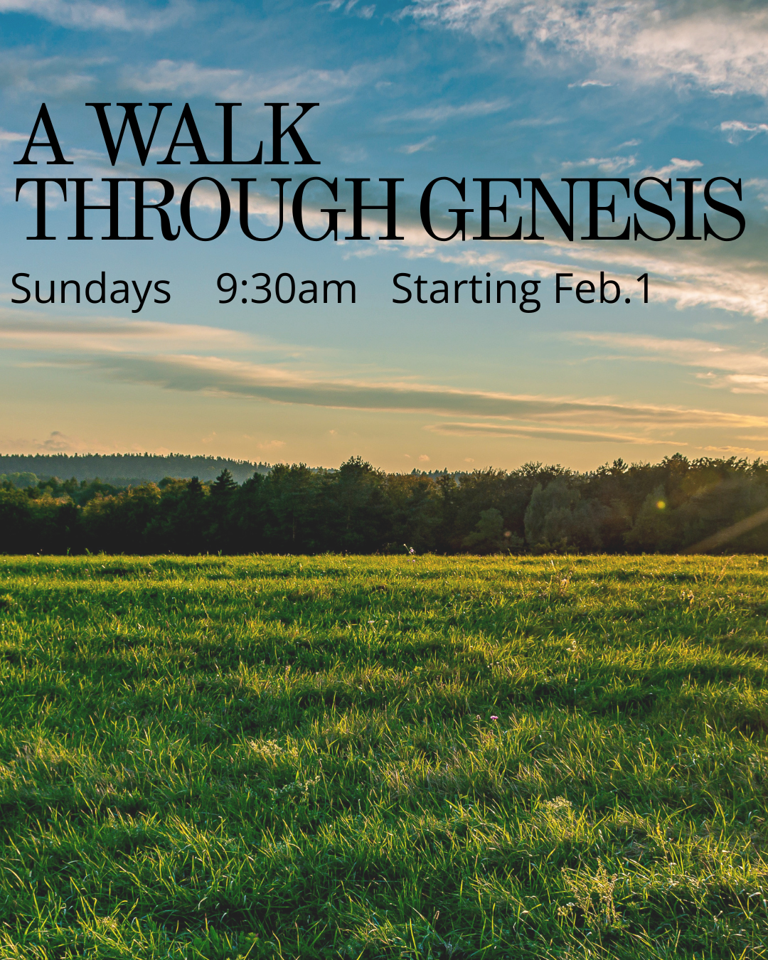 A Walk Through Genesis