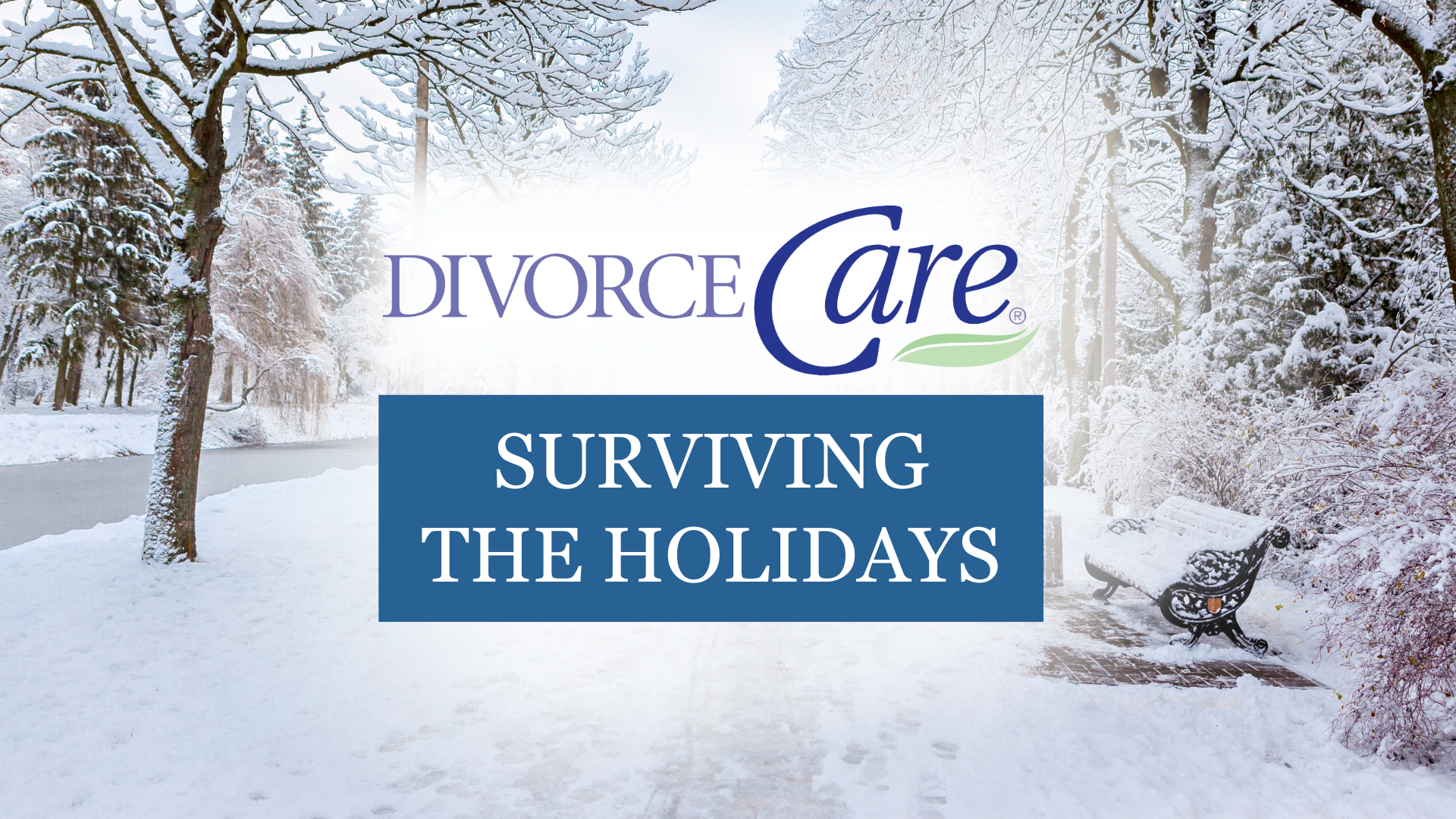 Surviving the Holidays - DivorceCare