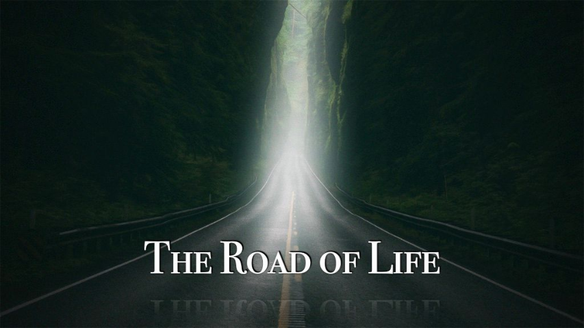 The Road of Life episode artwork