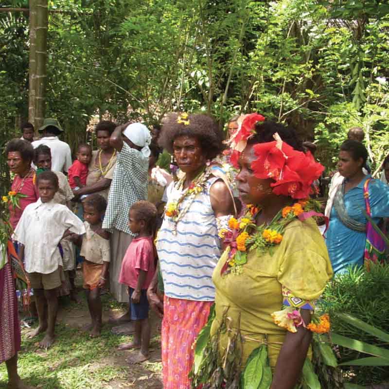 SCRIPTURE TRANSLATION & DISTRIBUTION