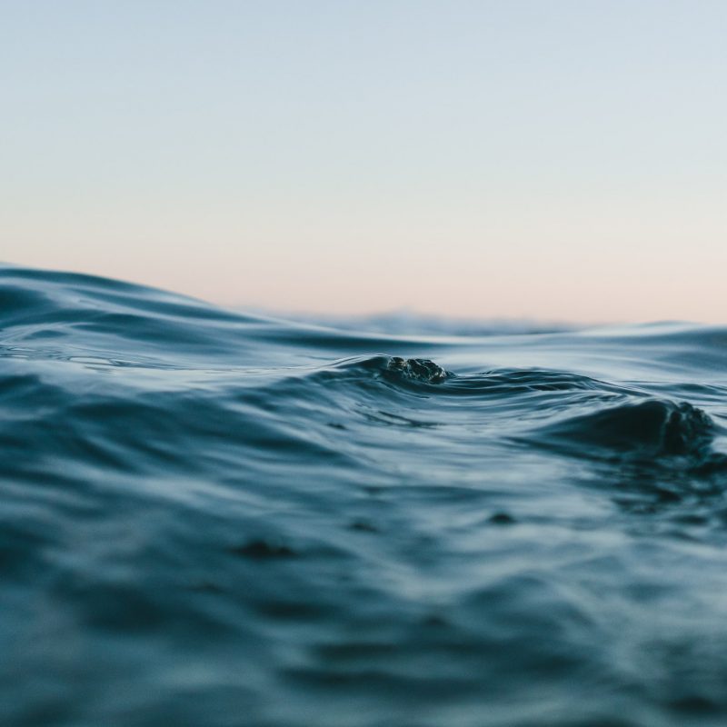 The Header image