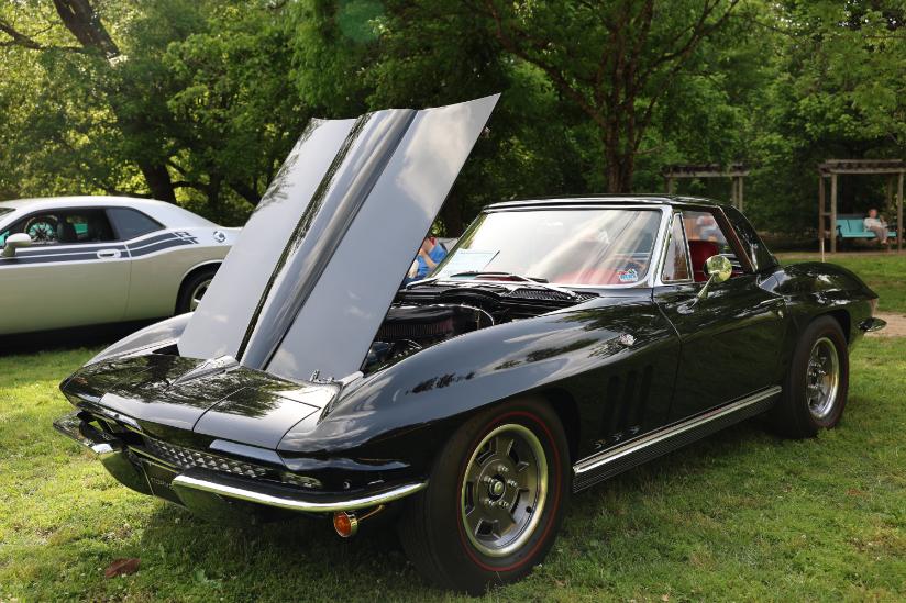 🚗 Cruise-In With a Purpose