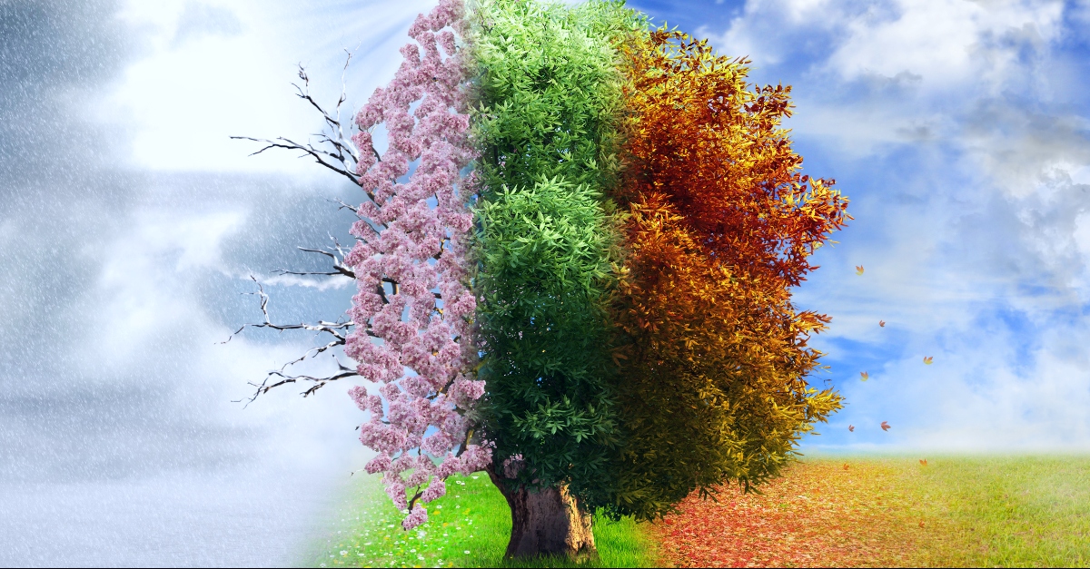 God Made the Seasons