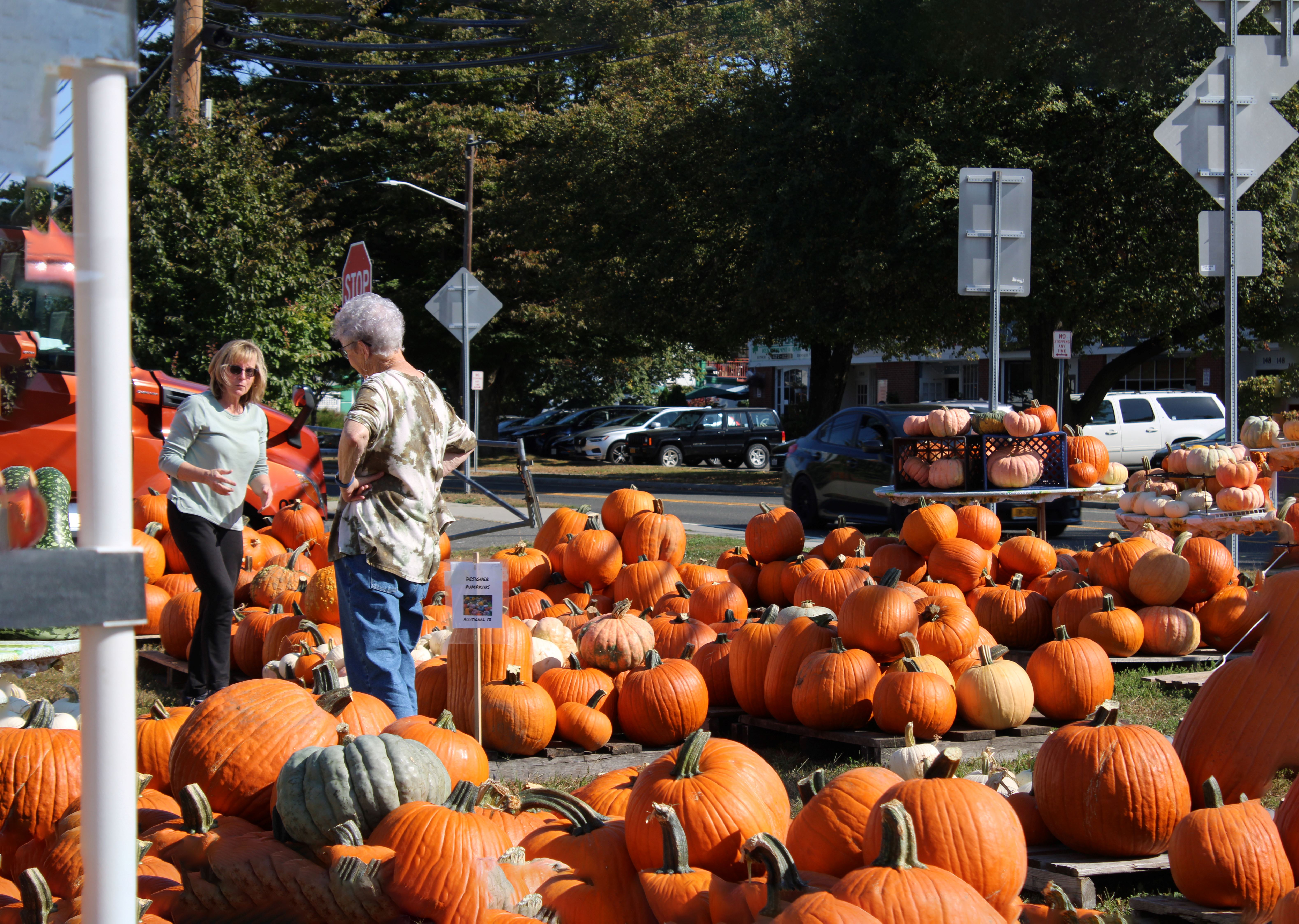 Pumpkins for sale at the 2026 pumpkin patch.