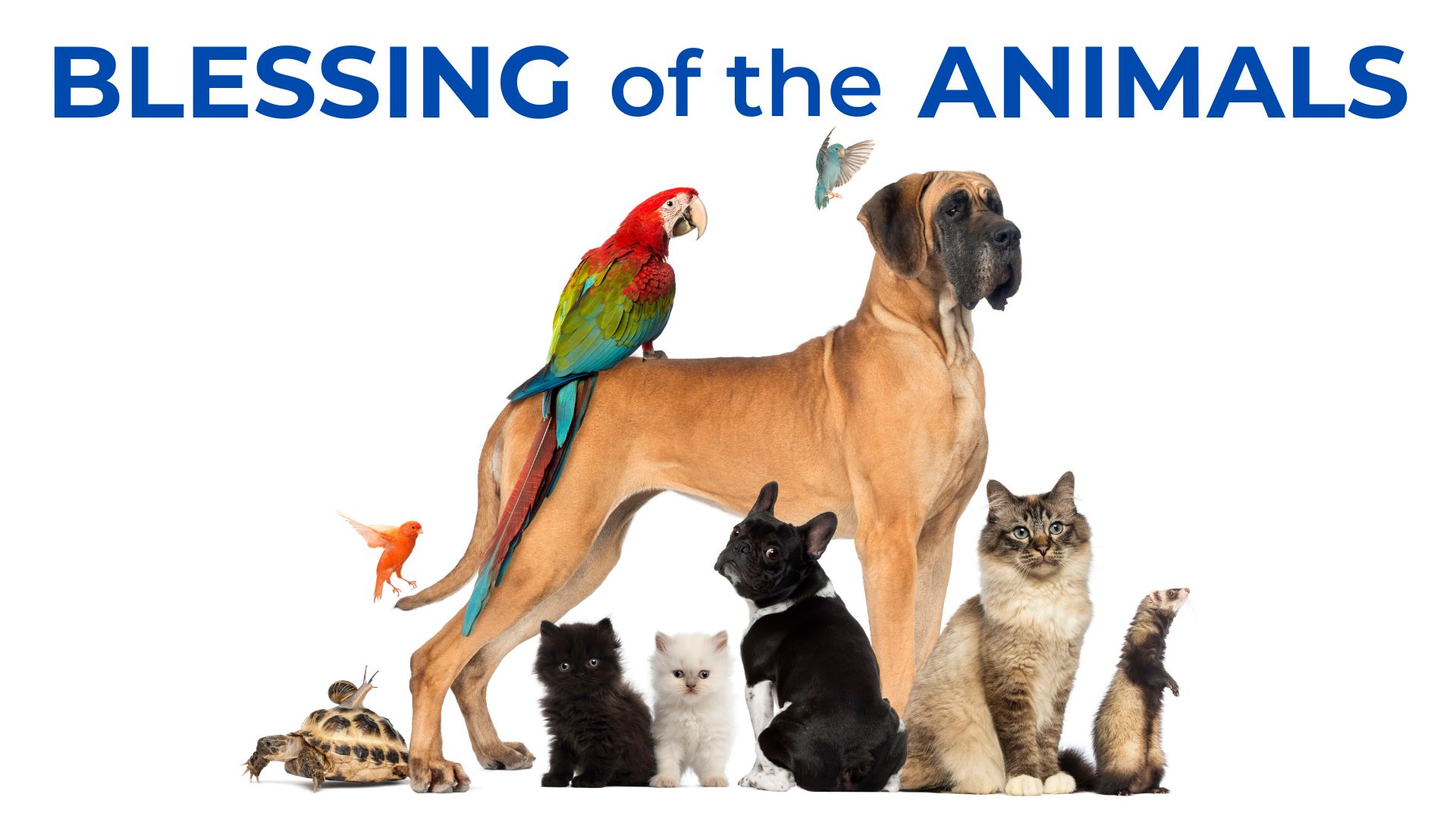 Featured Image