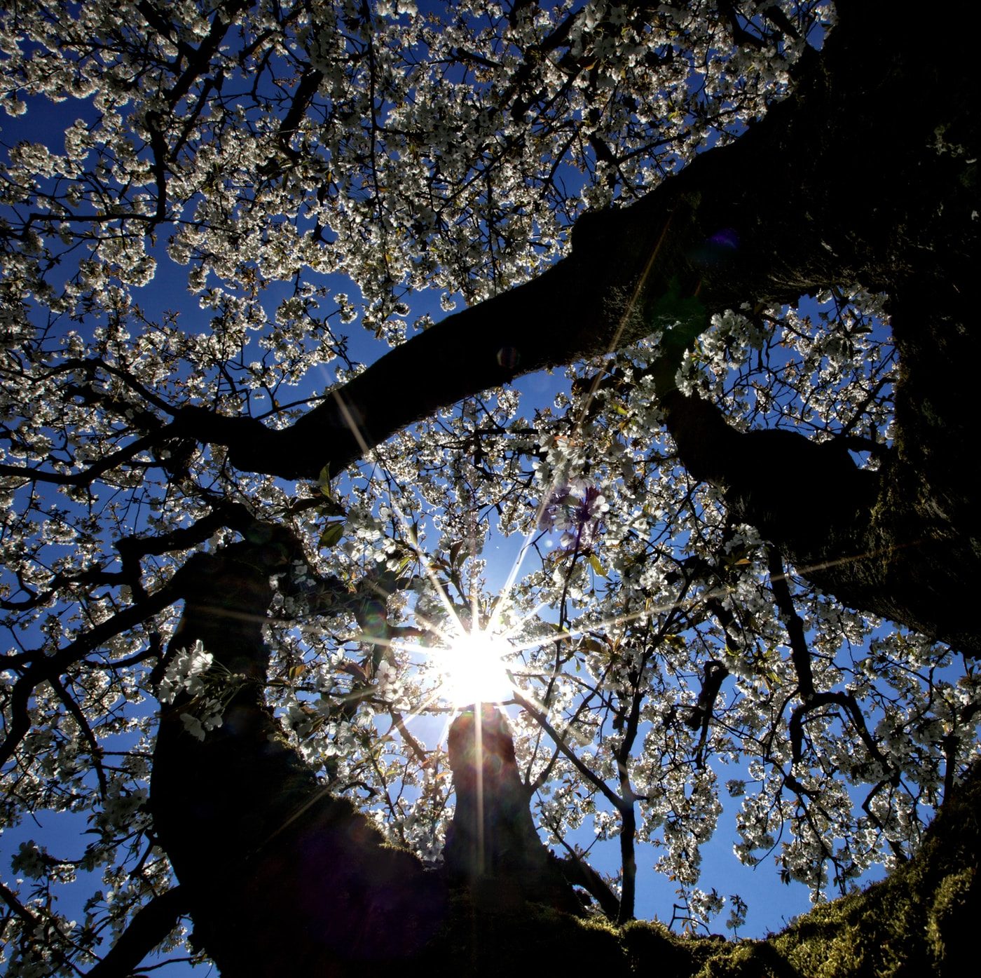 Living by the Spirit