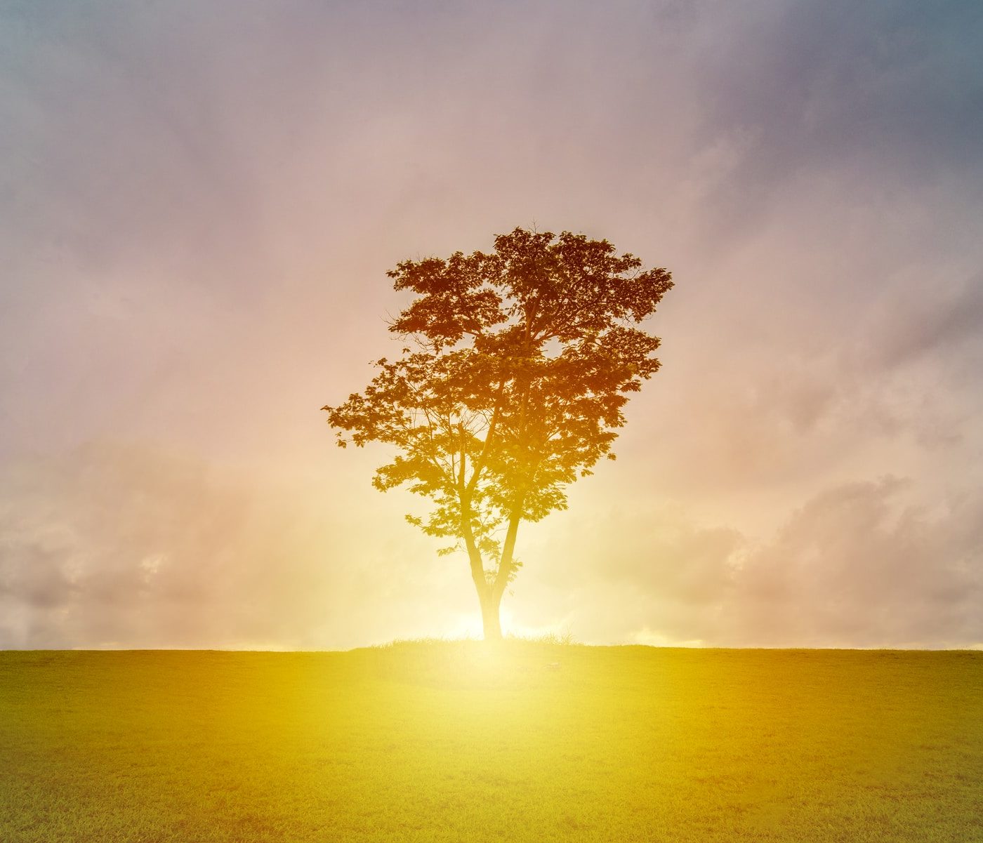 Jesus the Light of Life episode artwork