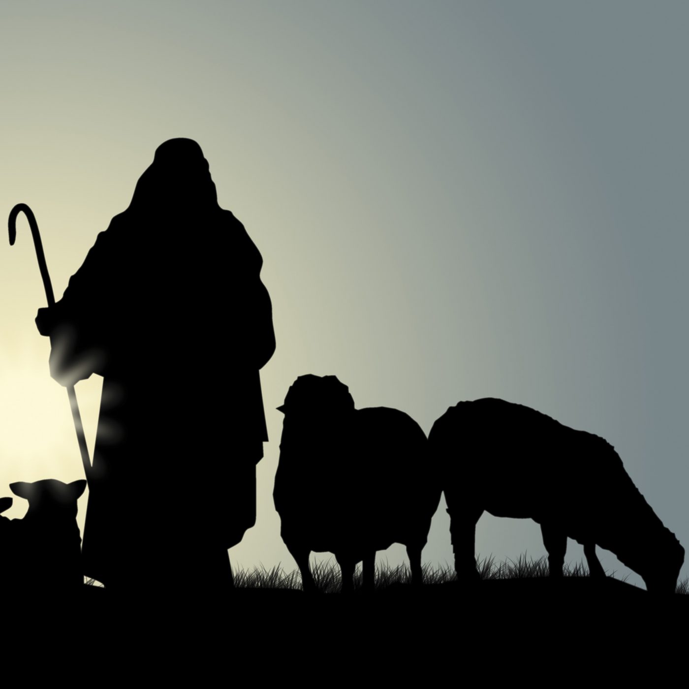 The good Shepherd – relationship, provision and promise