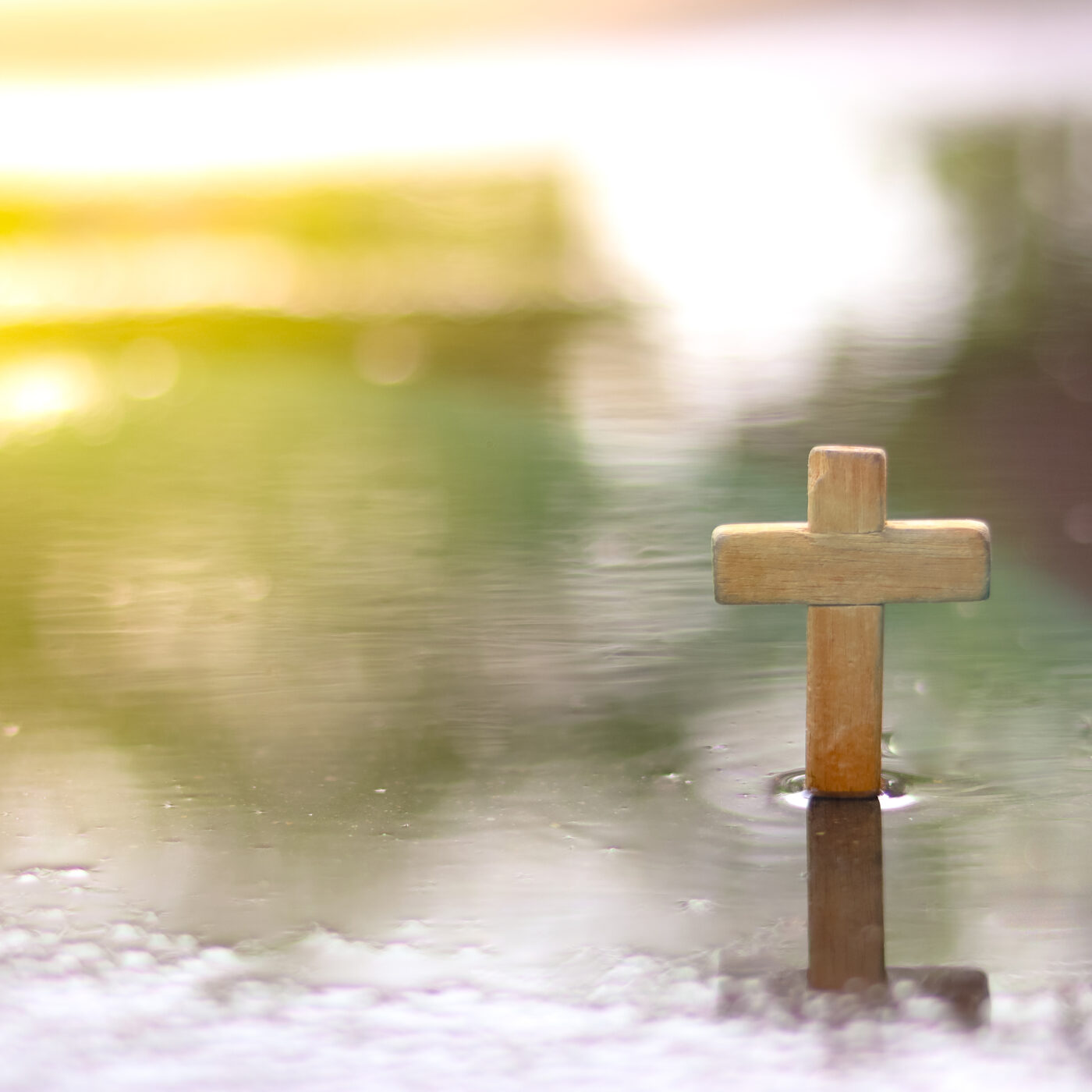 To believe and baptism episode artwork