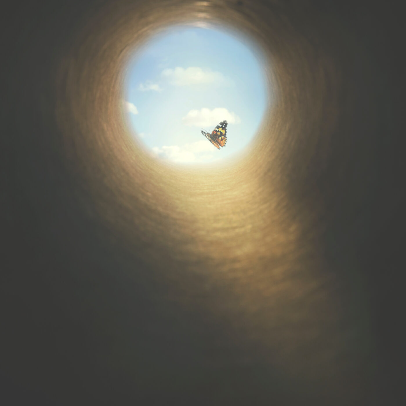To be born again episode artwork