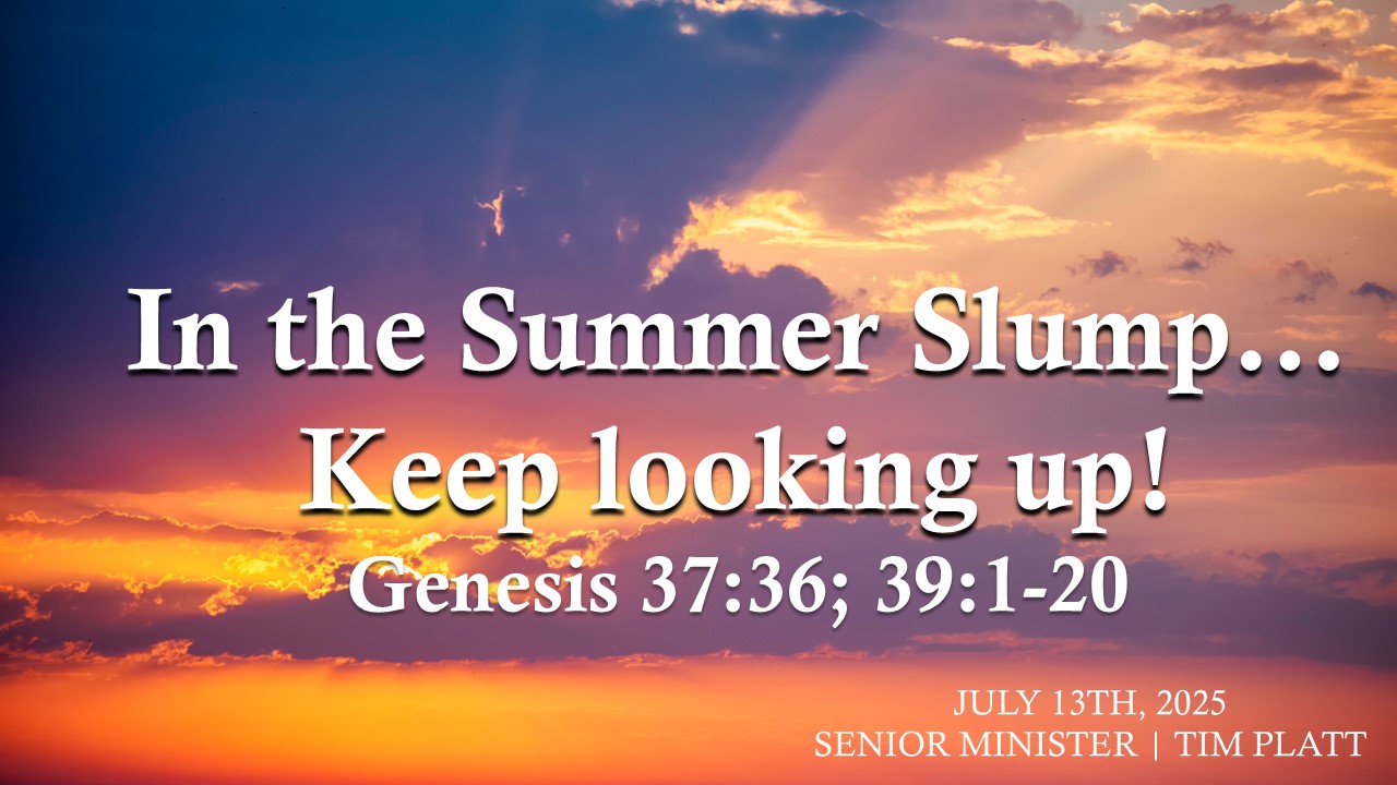 July 13 - In the Summer Slump...Keep Looking Up!