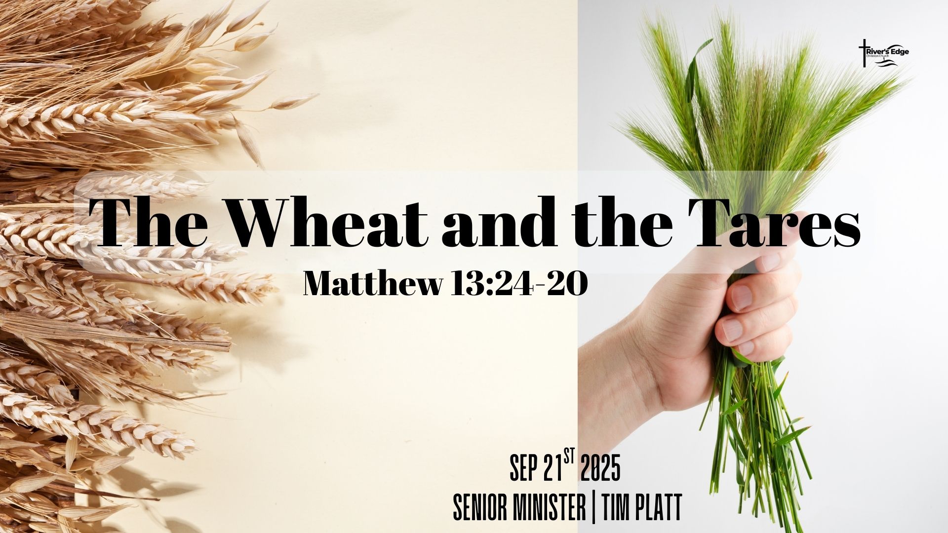 September 21st - The Wheat and the Tares